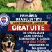 Câinii fără stăpân, o problemă reală pentru Titu. Primăria începe cu prevenția: recensământ, sterilizare și microcipare