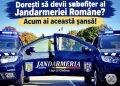 Jandarmeria Română face recrutări: 850 de locuri disponibile pentru viitorii subofițeri