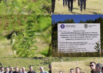 Președintele CJ Dâmbovița, Corneliu Ștefan, implicat în proiectul de împădurire de la Vârfuri