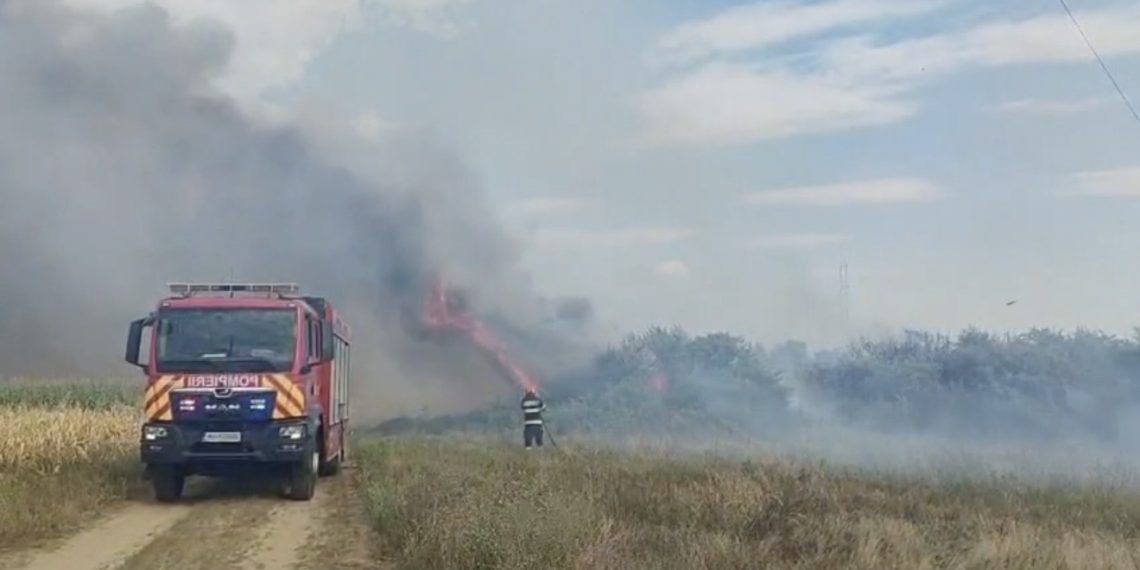 Incendiu de vegetație uscată în satul Crețu, comuna Ciocănești: 5.000 de metri pătrați au fost afectați de flăcări