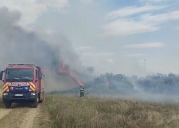 Incendiu de vegetație uscată în satul Crețu, comuna Ciocănești: 5.000 de metri pătrați au fost afectați de flăcări