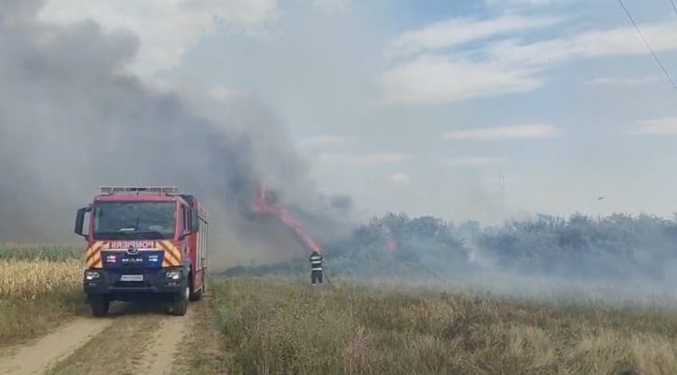 Incendiu de vegetație uscată în satul Crețu, comuna Ciocănești: 5.000 de metri pătrați au fost afectați de flăcări