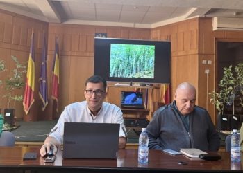 Adrian Bîlcan, directorul Direcției Silvice Dâmbovița: „Avem utilaje de miliarde, dar nu avem oameni să le folosească!” Alarma trasă din silvicultură