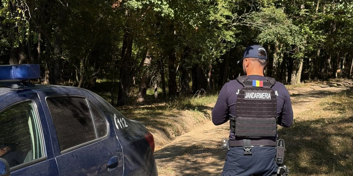 Mort, dar trecut ca șofer în SUMAL: un bărbat figurează la 122 de transporturi de lemne