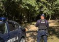 Mort, dar trecut ca șofer în SUMAL: un bărbat figurează la 122 de transporturi de lemne