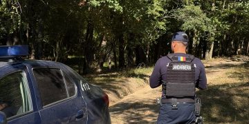 Mort, dar trecut ca șofer în SUMAL: un bărbat figurează la 122 de transporturi de lemne