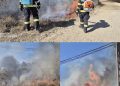 Patru incendii de vegetație uscată, înregistrate în Dâmbovița. Pompierii au intervenit în Filipeștii de Pădure, Doicești, Corbii Mari și Gheboieni