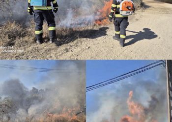 Patru incendii de vegetație uscată, înregistrate în Dâmbovița. Pompierii au intervenit în Filipeștii de Pădure, Doicești, Corbii Mari și Gheboieni