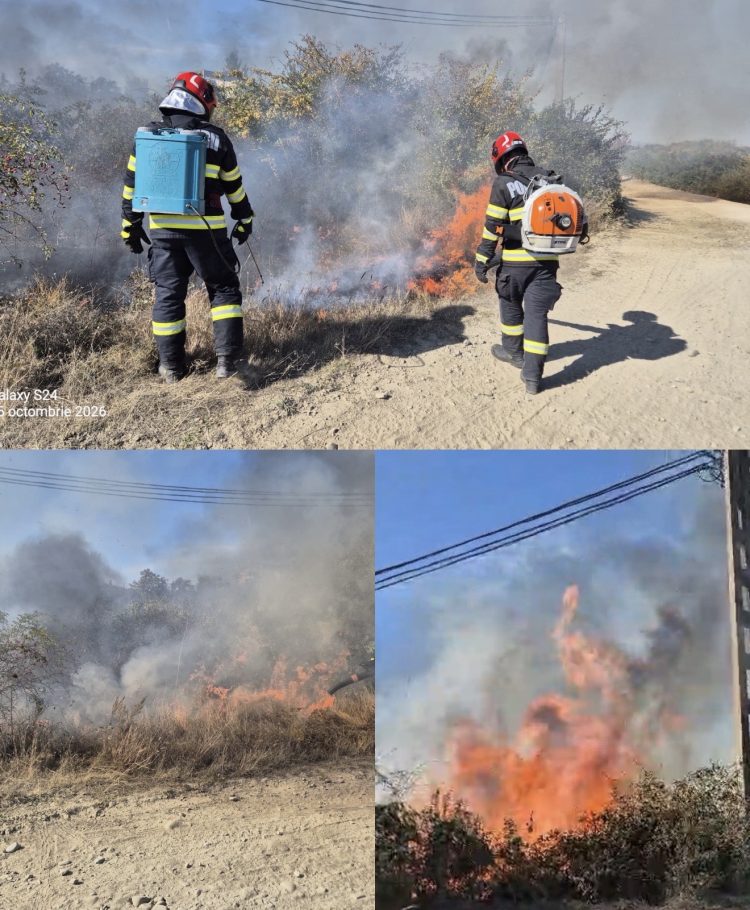 Patru incendii de vegetație uscată, înregistrate în Dâmbovița. Pompierii au intervenit în Filipeștii de Pădure, Doicești, Corbii Mari și Gheboieni