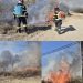 Patru incendii de vegetație uscată, înregistrate în Dâmbovița. Pompierii au intervenit în Filipeștii de Pădure, Doicești, Corbii Mari și Gheboieni