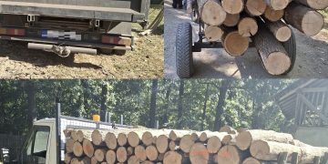 Avize fictive și lemn în plus față de documente: nereguli descoperite de jandarmii dâmbovițeni în SUMAL