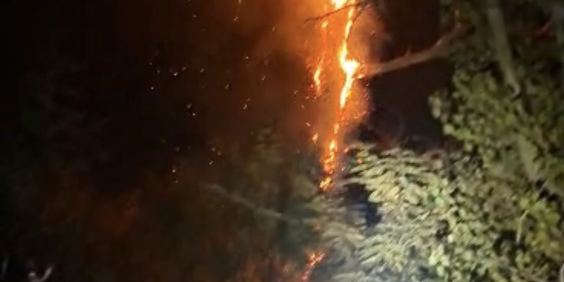 Incendiu de vegetație uscată și litieră forestieră la Crângurile. Pompierii intervin pe o suprafață de 5.000 de metri pătrați