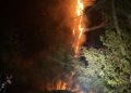 Incendiu de vegetație uscată și litieră forestieră la Crângurile. Pompierii intervin pe o suprafață de 5.000 de metri pătrați