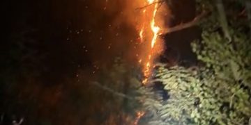 Incendiu de vegetație uscată și litieră forestieră la Crângurile. Pompierii intervin pe o suprafață de 5.000 de metri pătrați
