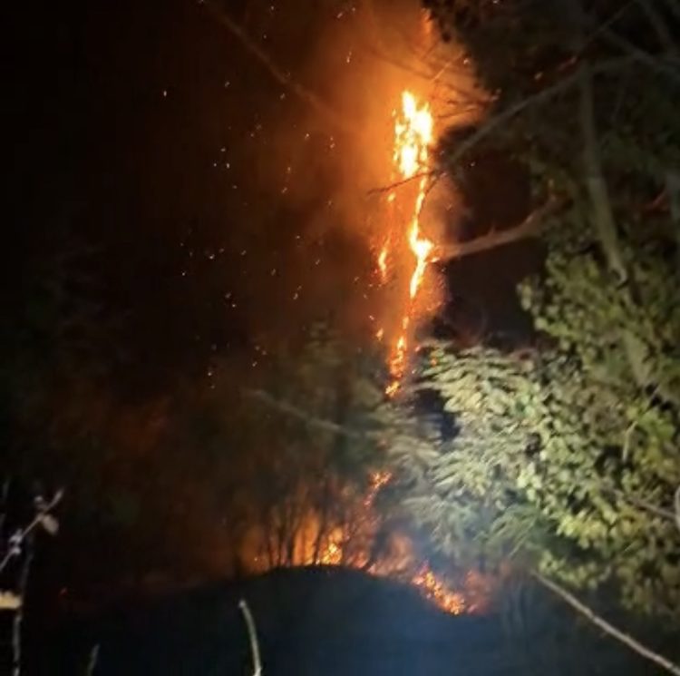 Incendiu de vegetație uscată și litieră forestieră la Crângurile. Pompierii intervin pe o suprafață de 5.000 de metri pătrați