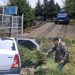 „Brazii de nuntă” le-au adus probleme cu legea! Doi bărbați, prinși de jandarmii montani după ce au tăiat ilegal 20 de molizi din Parcul Natural Bucegi