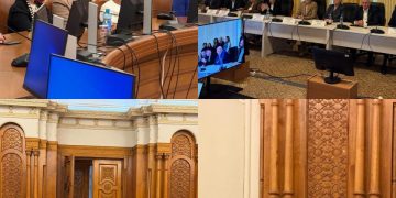 Carmen Holban, deputat PSD Dâmbovița, prezentă la audierile candidaților pentru Guvernul Niculescu