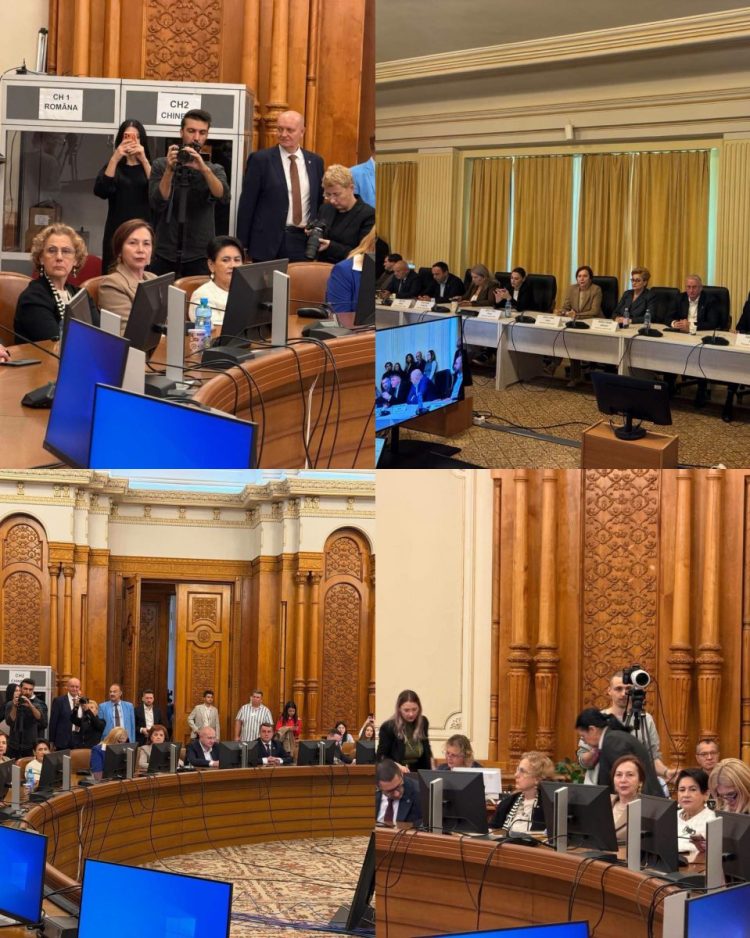Carmen Holban, deputat PSD Dâmbovița, prezentă la audierile candidaților pentru Guvernul Niculescu